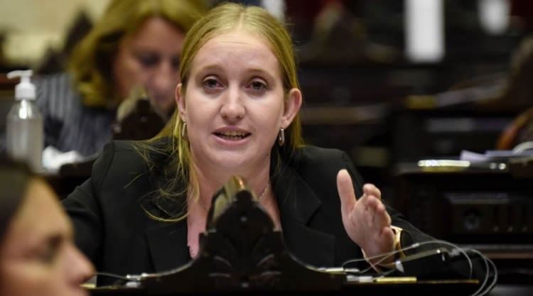 La Cámara de Diputados reflotará el proyecto de ley de tarjetas de crédito impulsado por las Estaciones de Servicio
